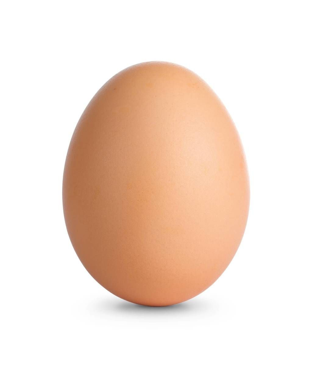 Egg.