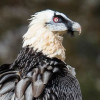 Picture of Kayla Coetzee